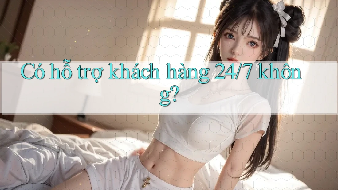 Có hỗ trợ khách hàng 24/7 không? Có hỗ trợ khách hàng 24/7 không?