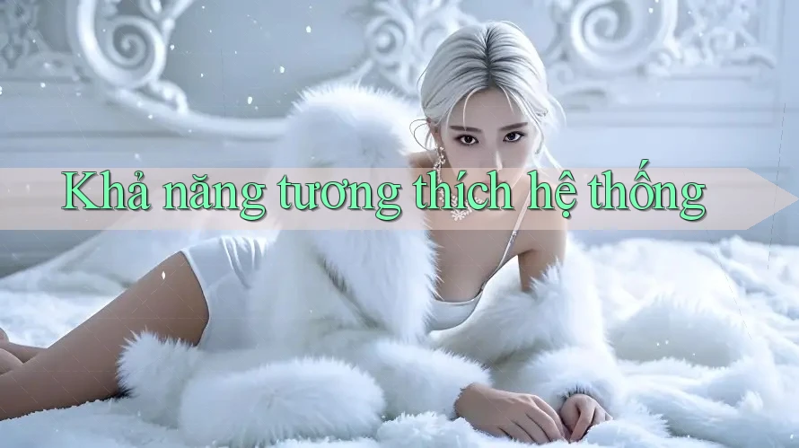 Khả năng tương thích hệ thống Khả năng tương thích hệ thống