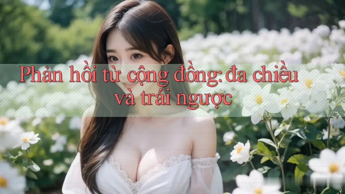 Phản hồi từ cộng đồng: đa chiều và trái ngược Phản hồi từ cộng đồng: đa chiều và trái ngược